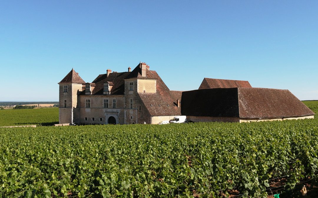 France – Sentiers viticoles