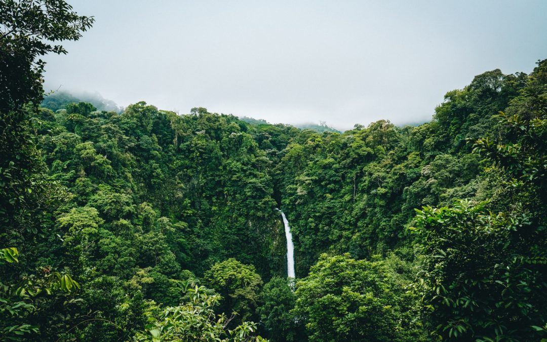 Costa Rica – Voyage au cœur de la nature