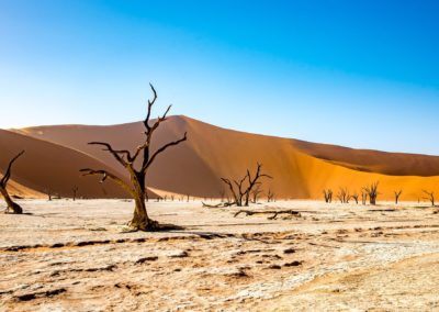 Namibie – Voyage en toute liberté