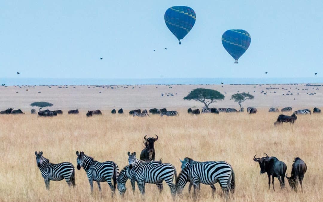 Safari et plage au Kenya