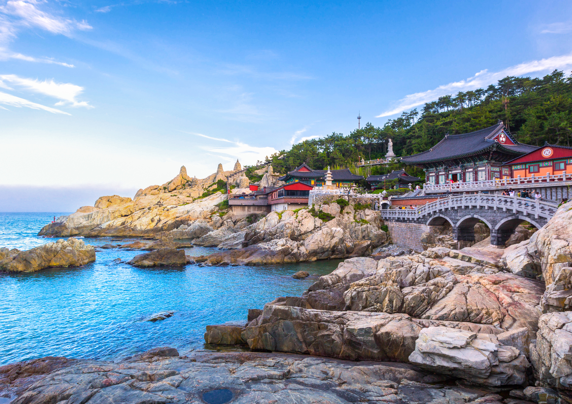 busan colombus voyages