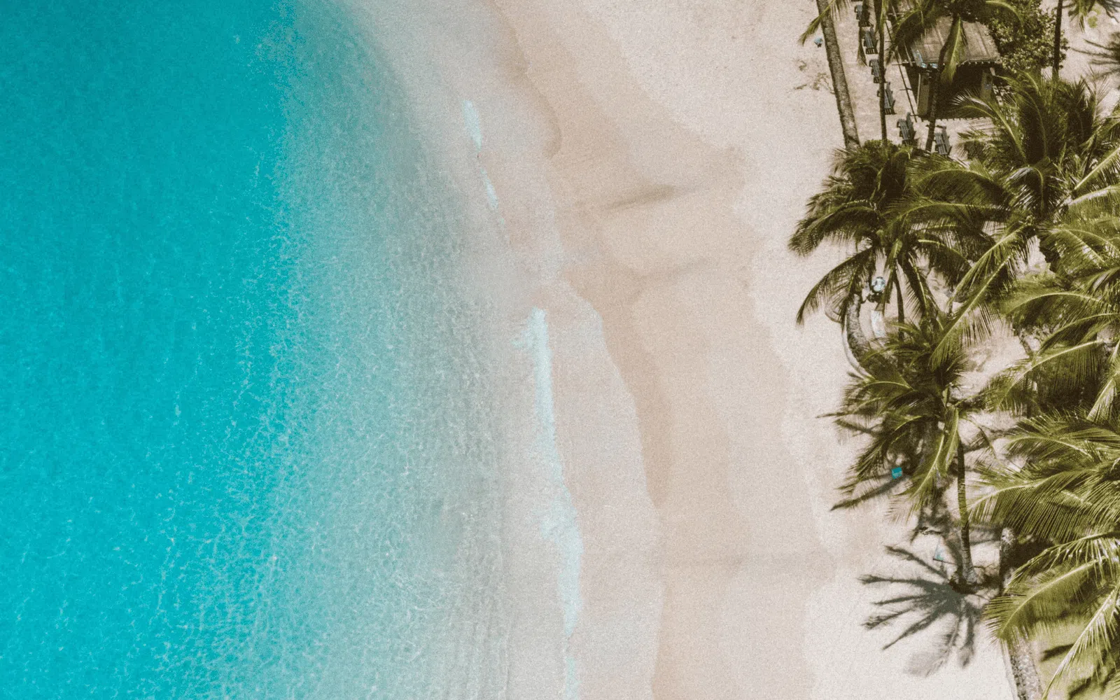 Concours écriture Colombus