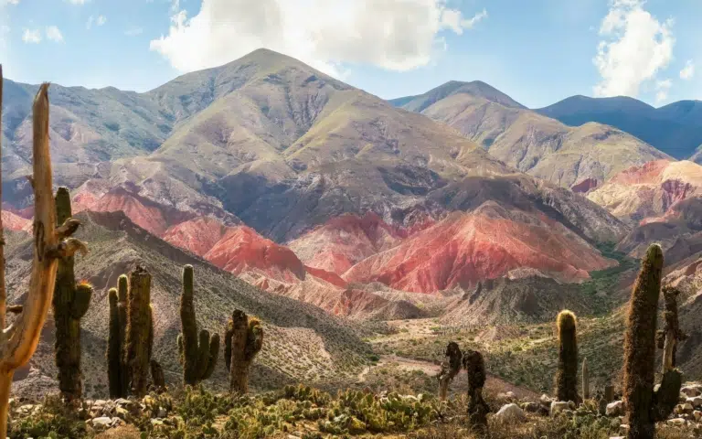 Bolivie et Argentine en condensé guidé - Argentine > Bolivie | Sur mesure