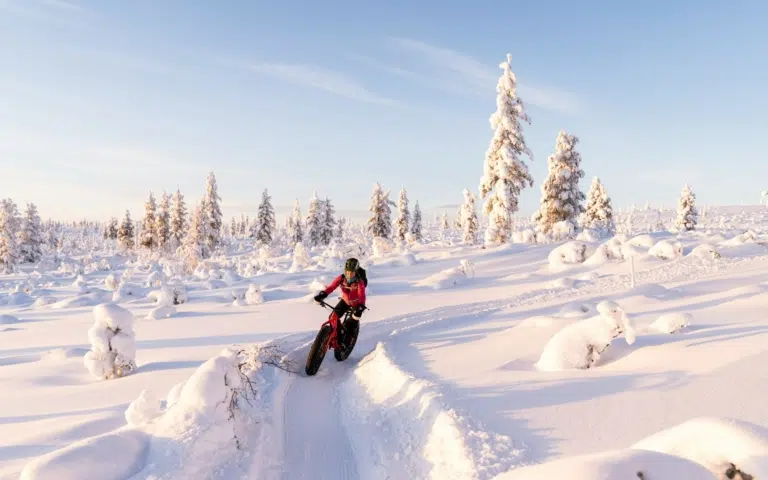 Expédition au Nord de la Laponie finlandaise - Finlande | Sur mesure