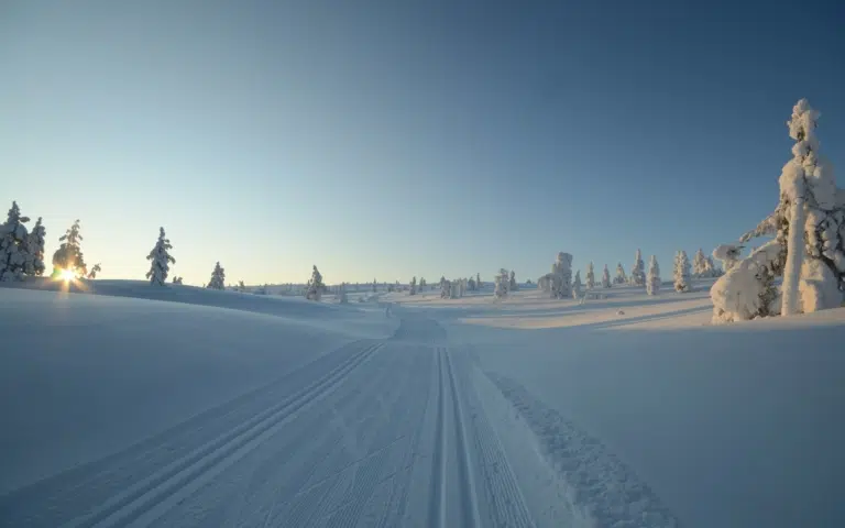 Long week-end aux confins de la Laponie - Finlande | Sur mesure