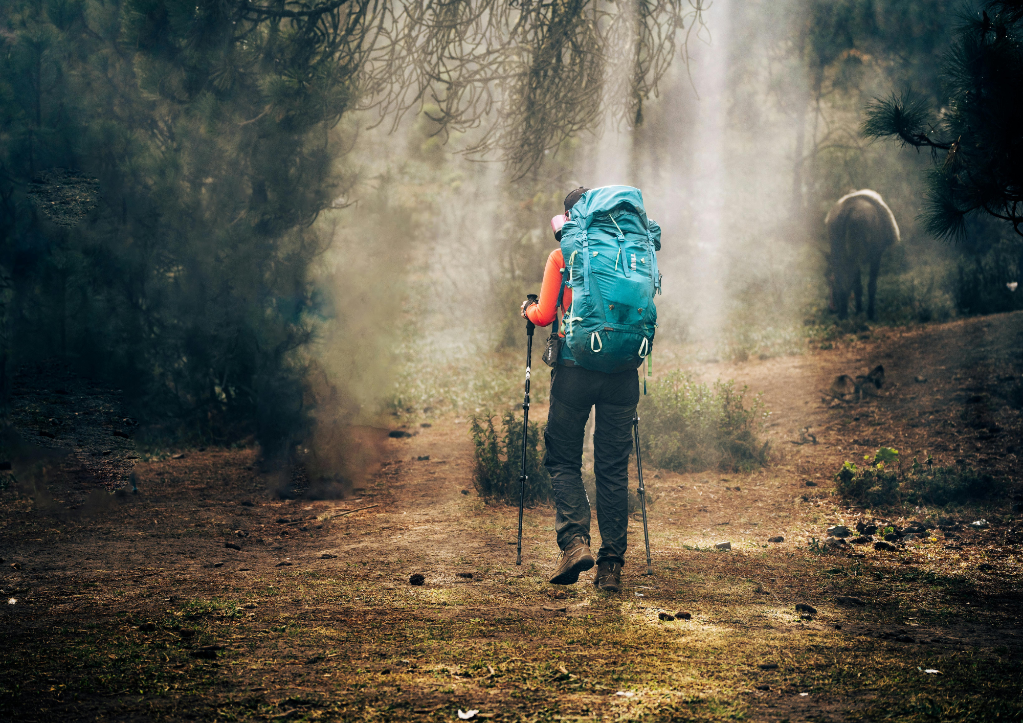 voyage sportif colombus