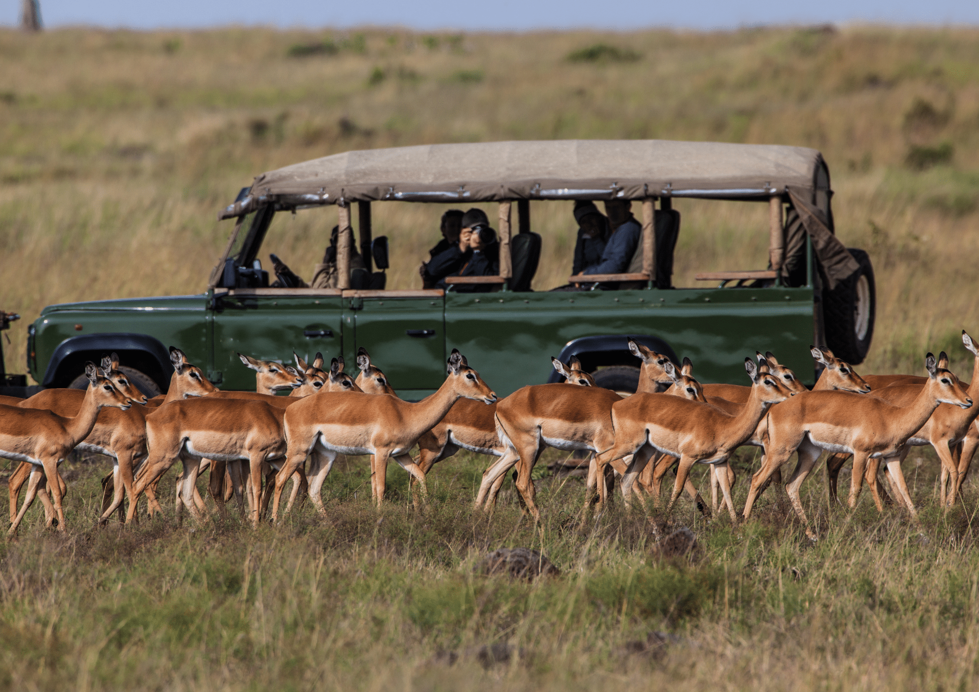 Safari Tanzanie Colombus Voyages