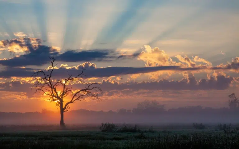 Botswana : de l&rsquo;Okavango aux Chutes Victoria par le nord - Botswana > Zimbabwe | Sur mesure