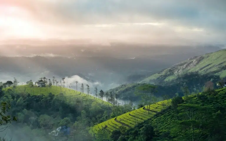 Entre villages, arts et saveurs du Sud indien - Inde | Sur mesure