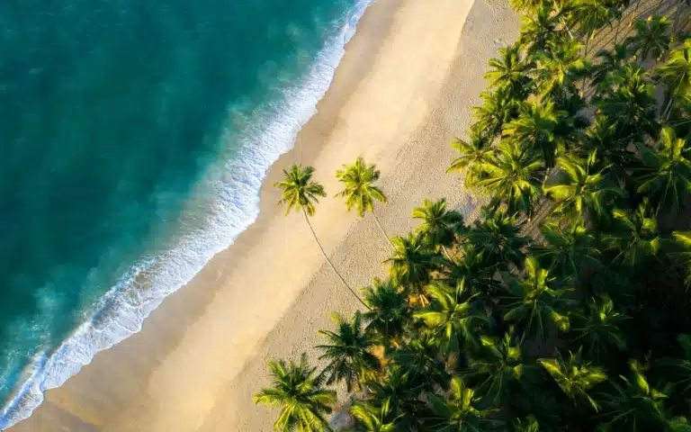 Surf et yoga au Sri Lanka par Santa Mila - Sri Lanka | Sur mesure