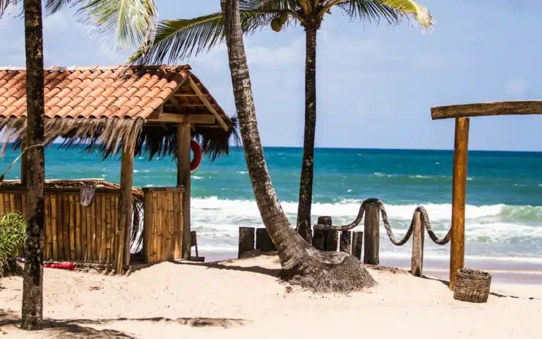 Plongée à Bahia, nord du Brésil - Brésil