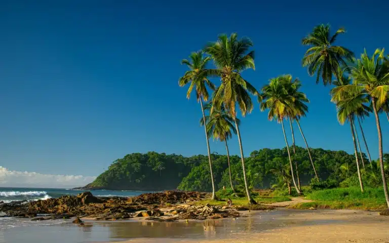 Un Brésil d’exception  - Brésil