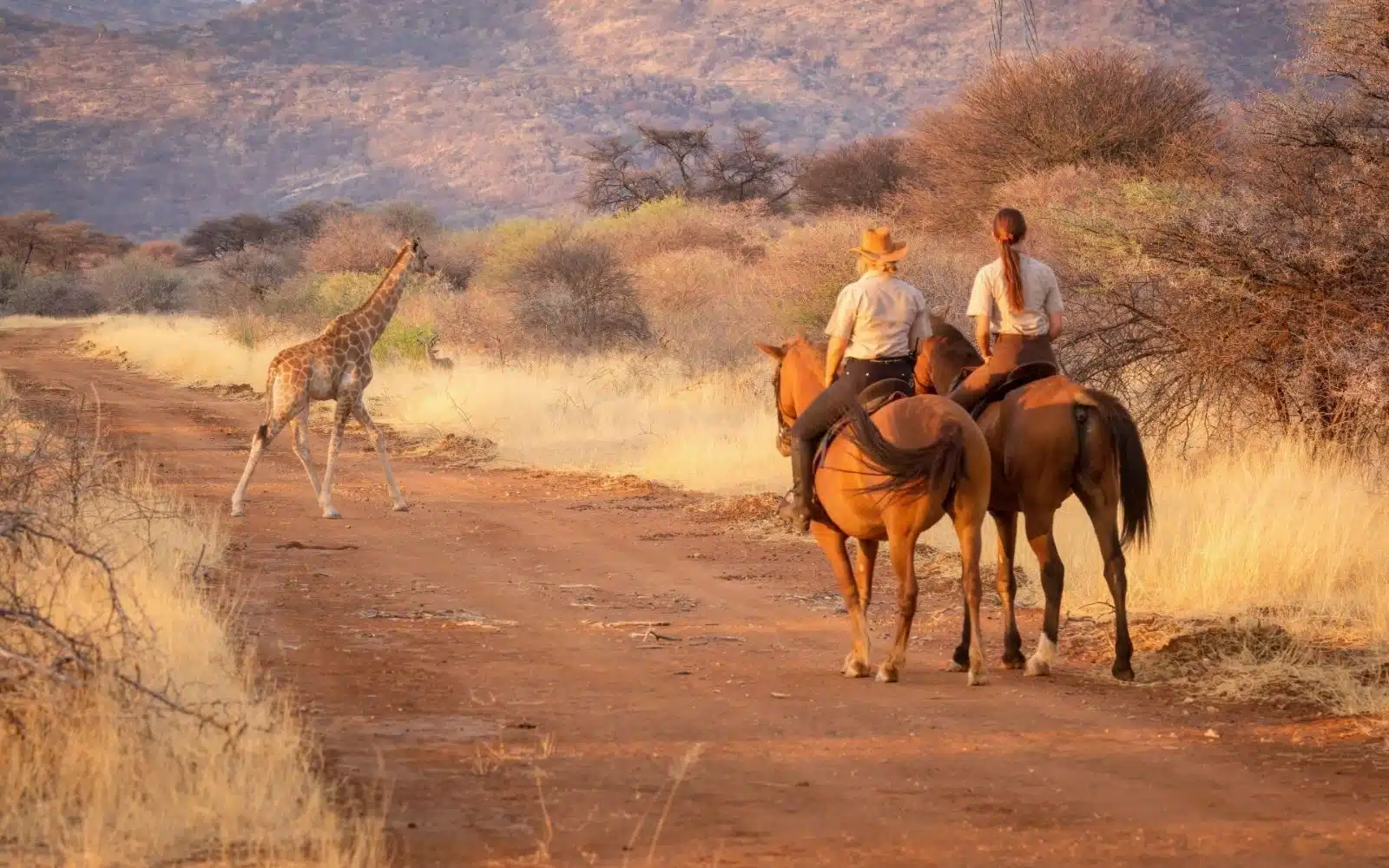 Safari cheval Ouganda