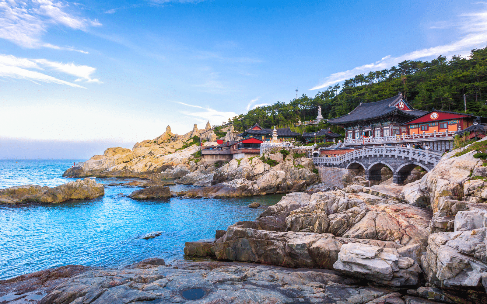 Busan Colombus Voyages