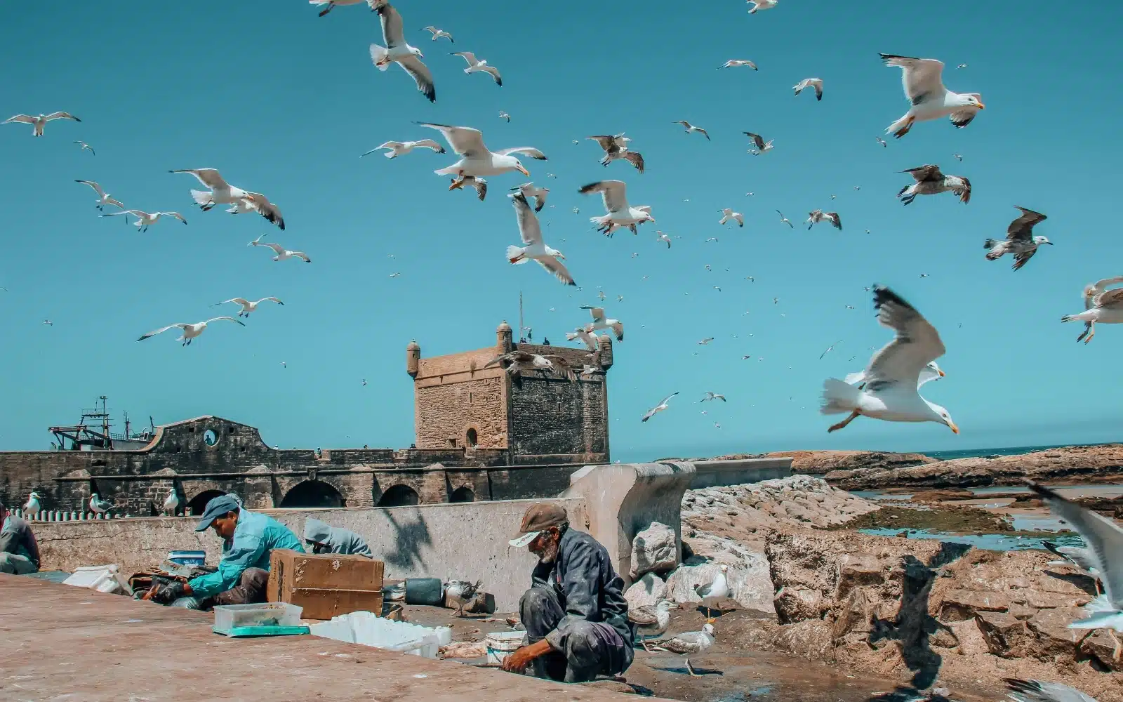 Maroc food trip