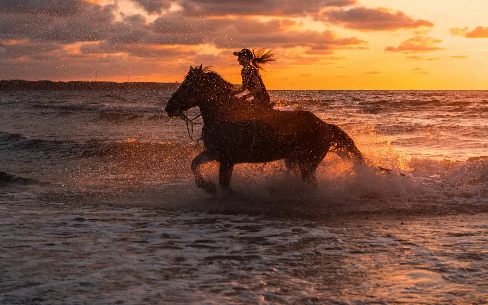 Essaouira beach