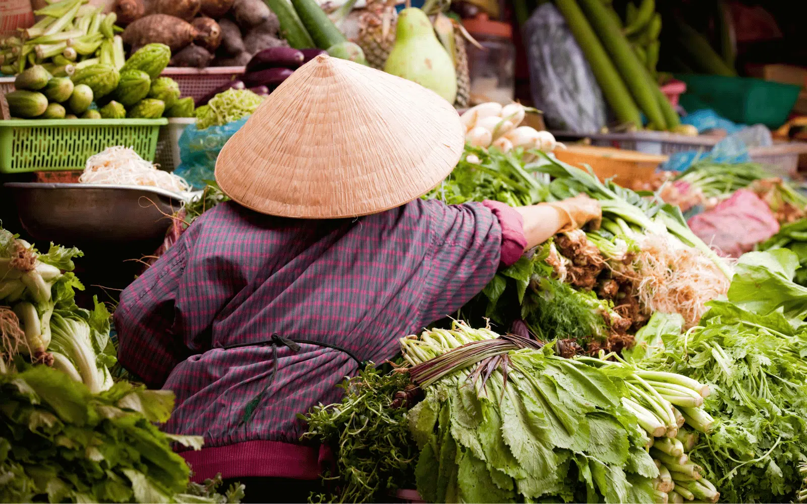 Les 8 plus beaux marchés du monde où voyager par les papilles